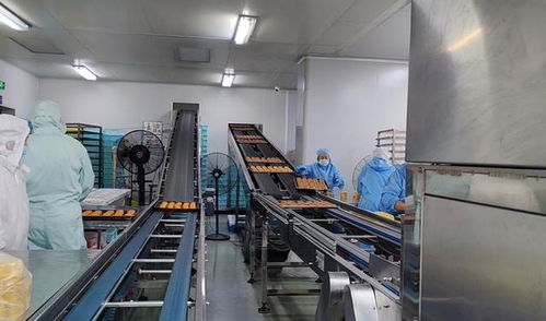 月餅賣不動了 記者走訪上海代工廠 500種口味推陳出新,b端市場仍有潛力