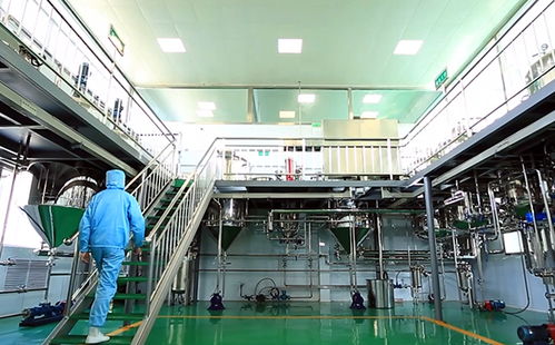 長治高新區 新品精品名品優品 鑫百味老樹核桃油