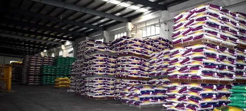 從田間到世界 中國牛蛙產業如何借科技與標準登上國際舞臺